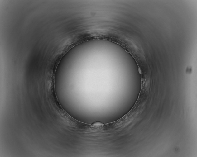 X0000101181012200807111110