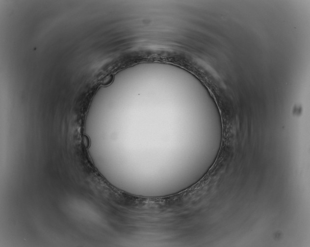 X0000101181013200807111110