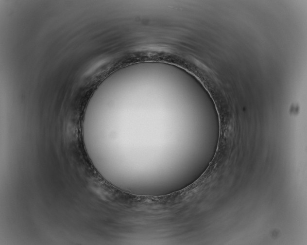 X0000101181014200807111110