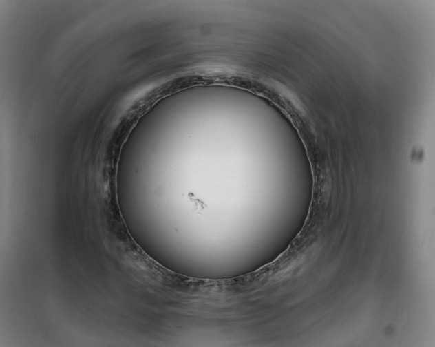 X0000101181016200807111110