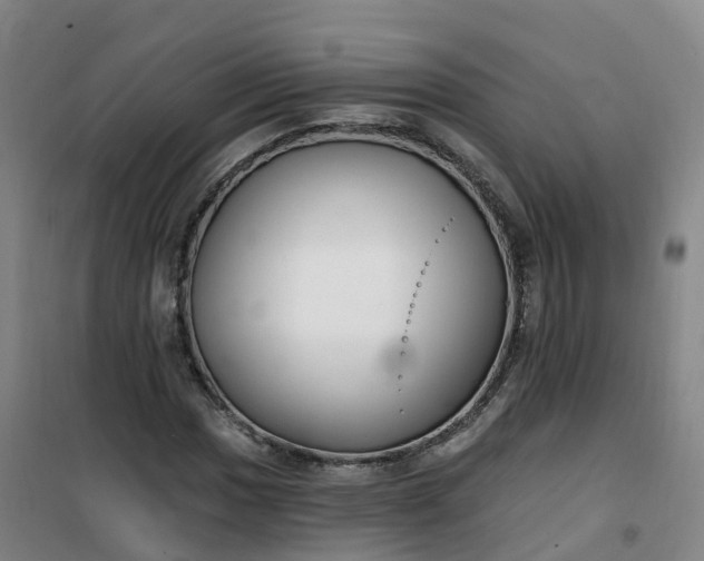 X0000101181017200807111110
