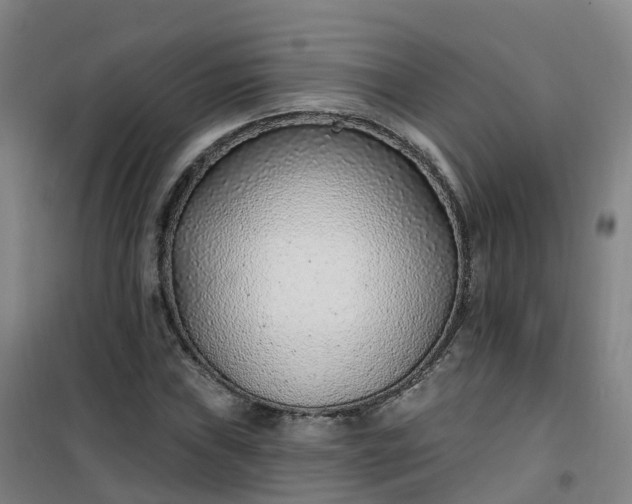 X0000101181019200807111110