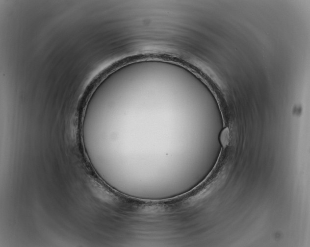 X0000101181021200807111110