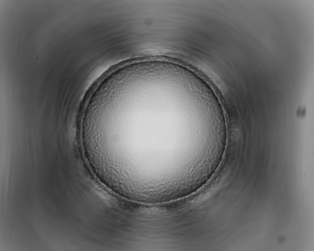 X0000101181023200807111110