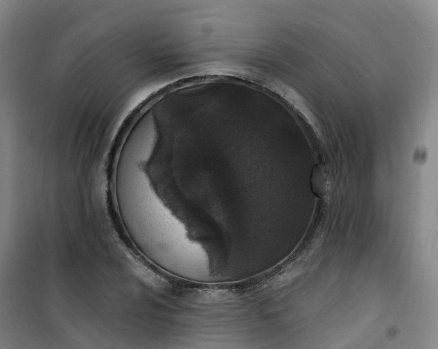 X0000101181024200807111110