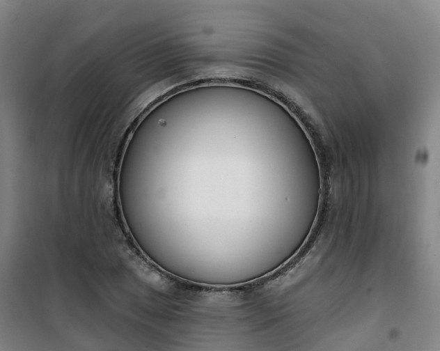X0000101181025200807111110