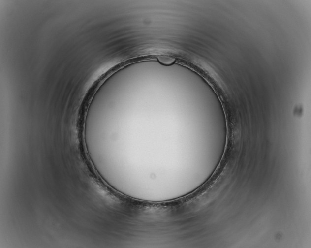 X0000101181026200807111110