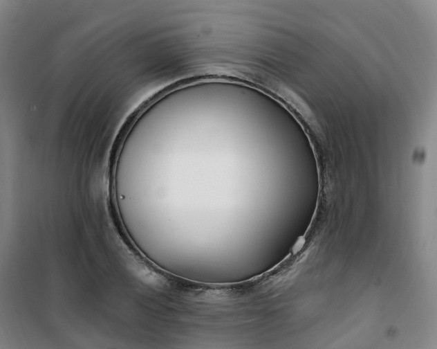 X0000101181028200807111110