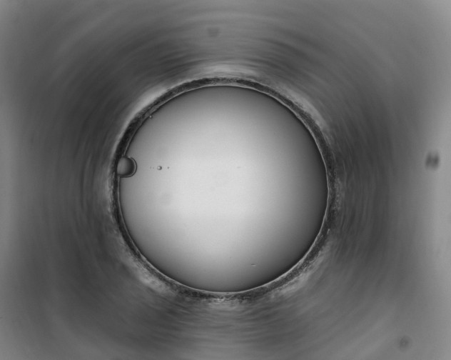 X0000101181029200807111111