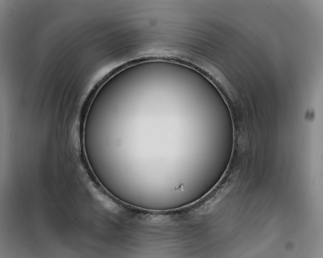 X0000101181030200807111111
