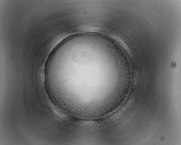 X0000101181031200807111111