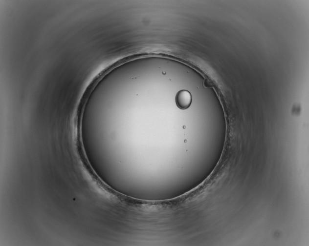 X0000101181032200807111111