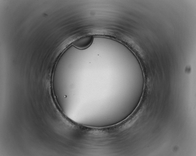 X0000101181033200807111111