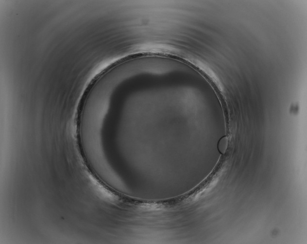 X0000101181037200807111111
