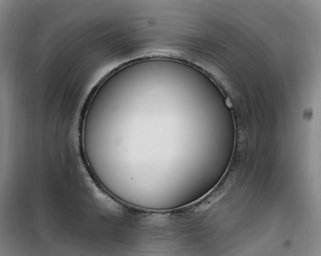 X0000101181038200807111111