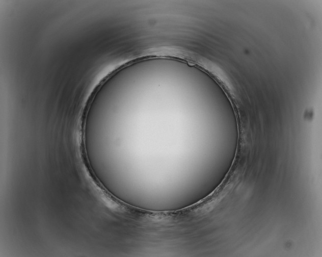 X0000101181040200807111111