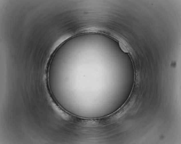 X0000101181042200807111111