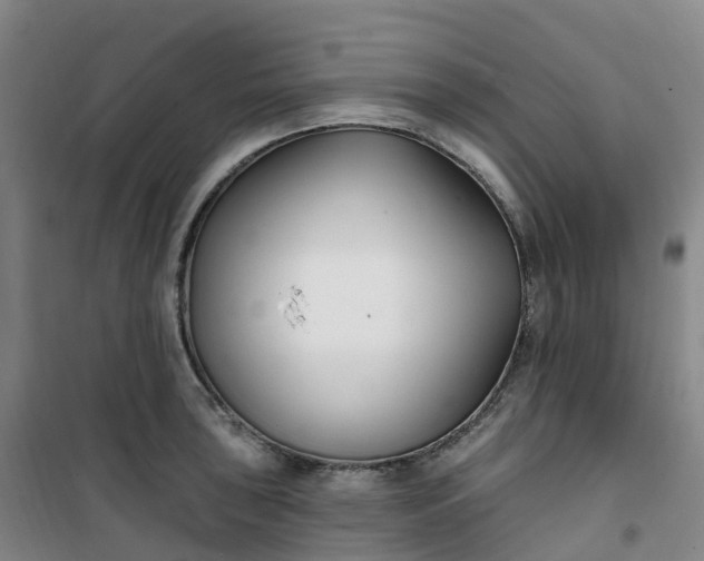 X0000101181043200807111111