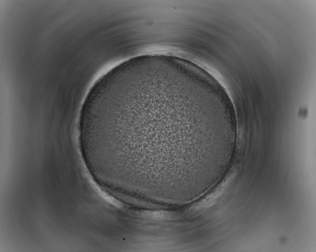 X0000101181045200807111111