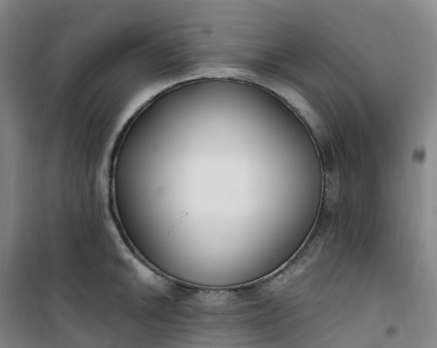 X0000101181046200807111111