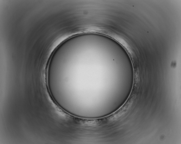 X0000101181047200807111111