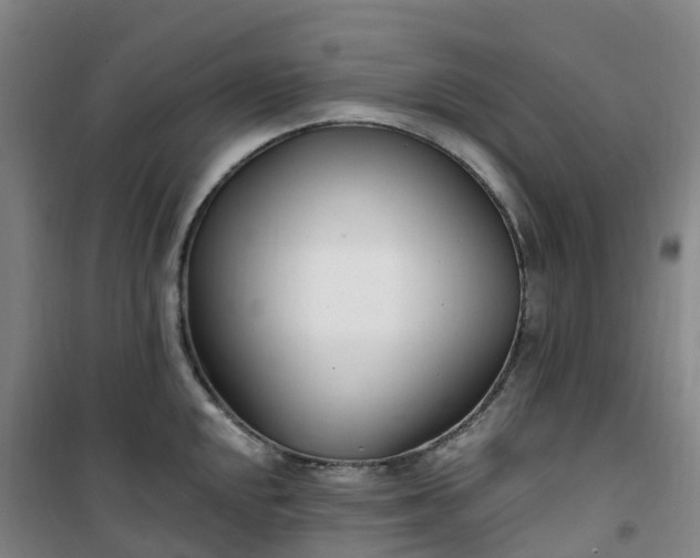 X0000101181048200807111111