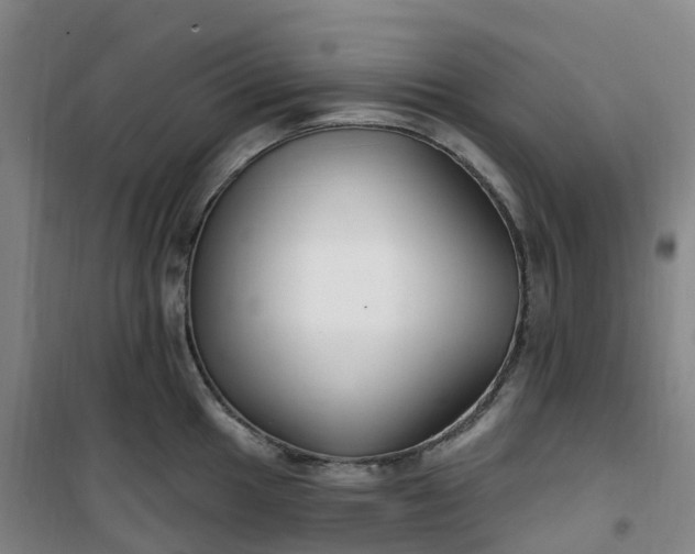 X0000101181049200807111111
