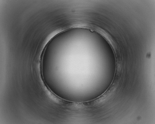 X0000101181050200807111111