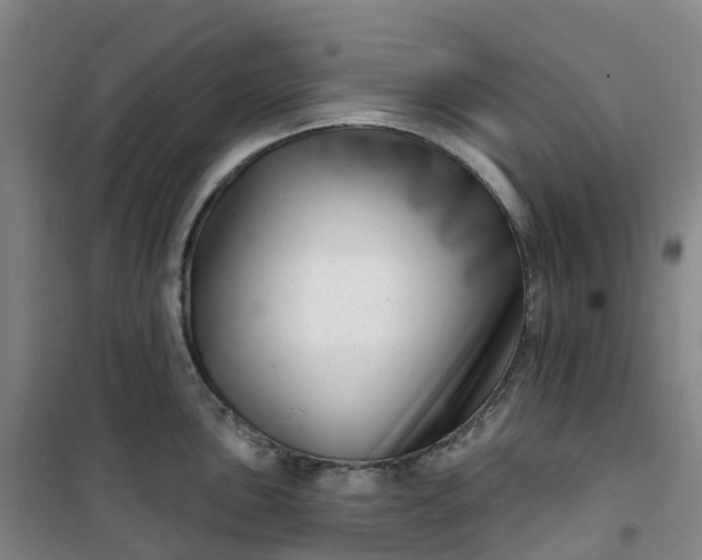 X0000101181051200807111111