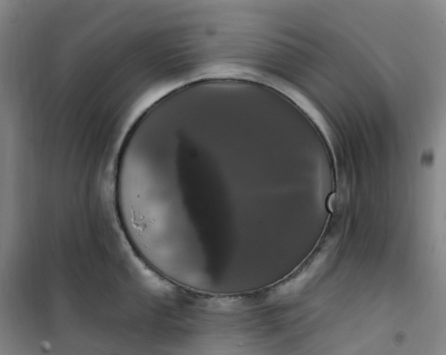 X0000101181053200807111111