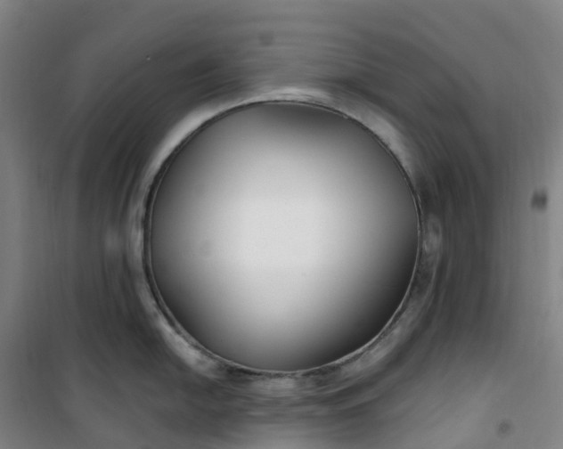 X0000101181054200807111111