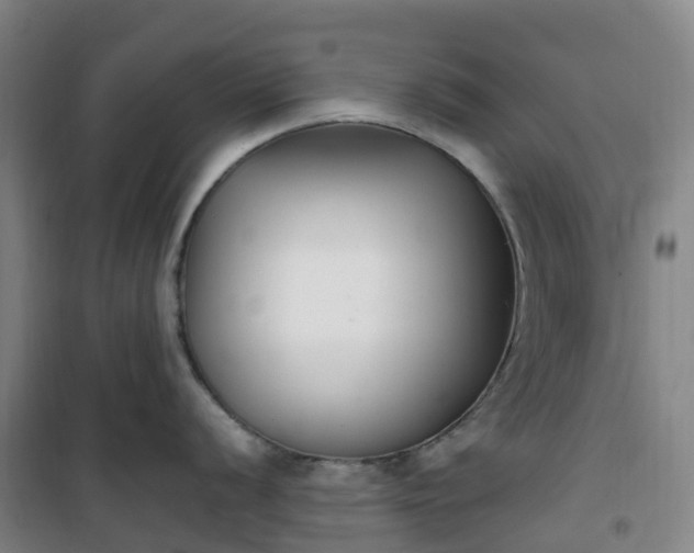 X0000101181056200807111111