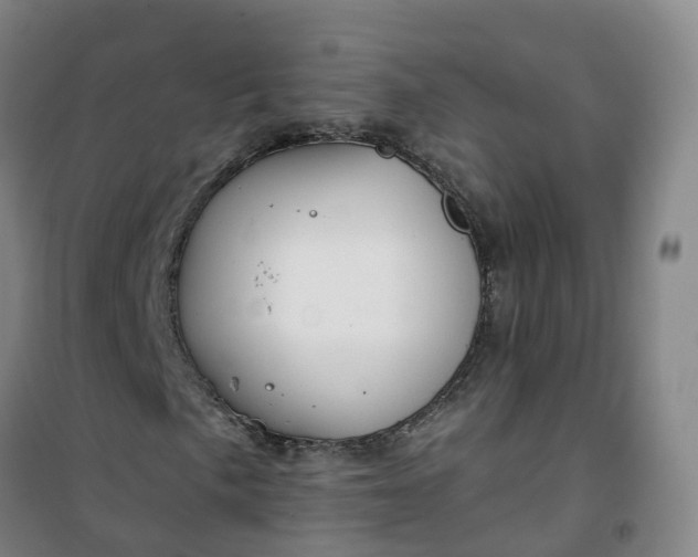X0000101181057200807111110
