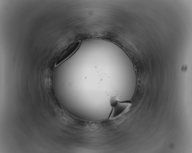 X0000101181058200807111110