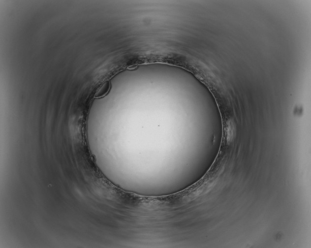 X0000101181059200807111110