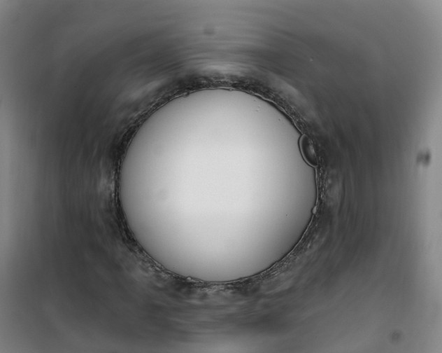 X0000101181061200807111110