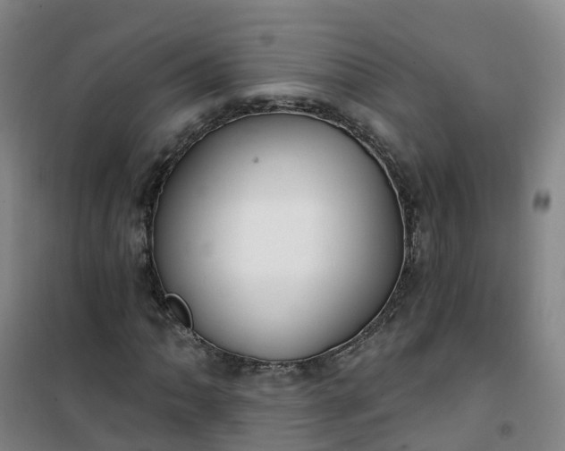 X0000101181062200807111110