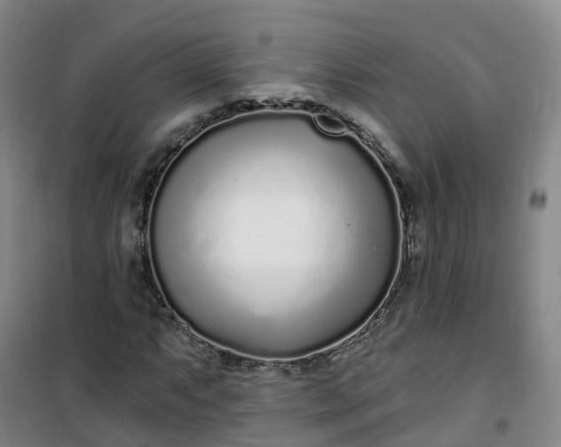 X0000101181063200807111110