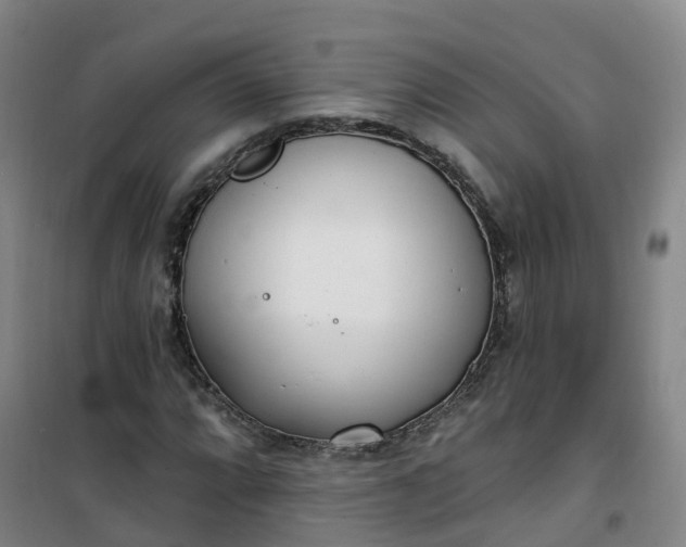 X0000101181064200807111110