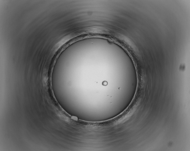 X0000101181065200807111110