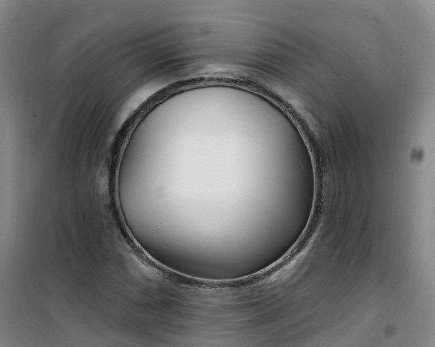 X0000101181066200807111110