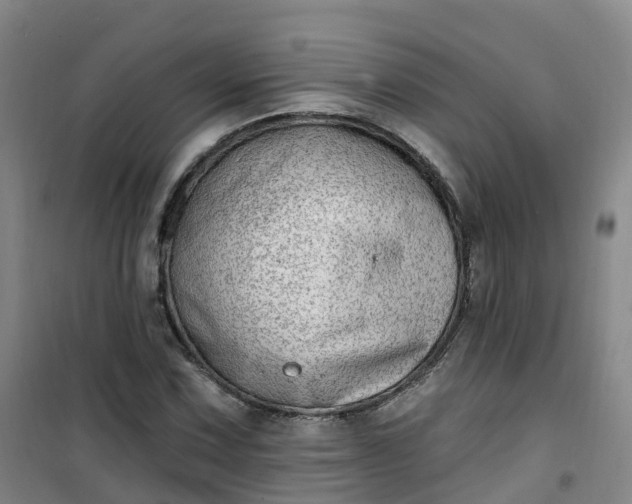 X0000101181067200807111110