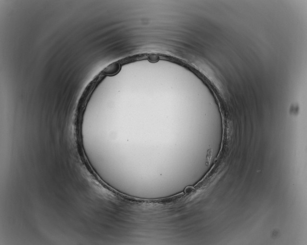 X0000101181068200807111110