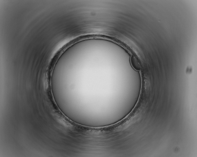 X0000101181069200807111110