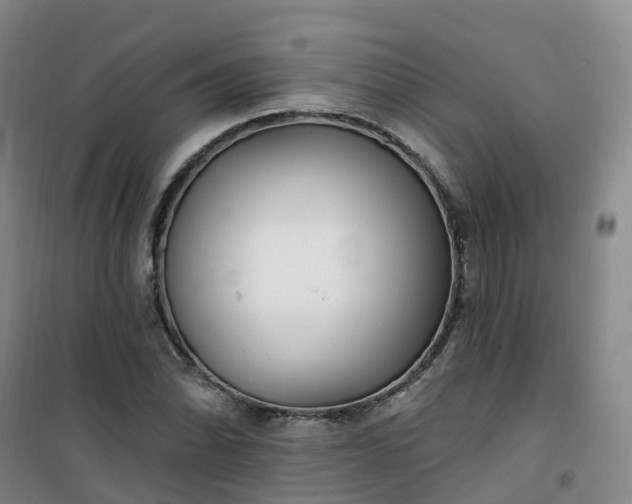 X0000101181070200807111110