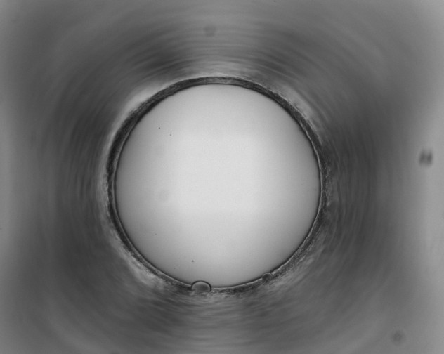X0000101181072200807111110