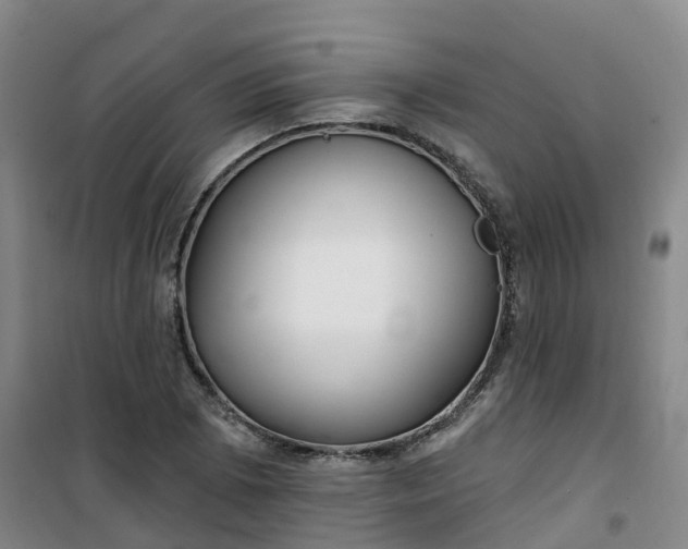 X0000101181073200807111110