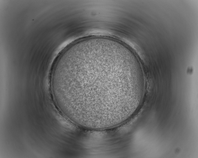 X0000101181074200807111110