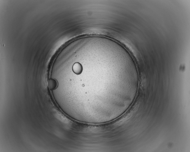 X0000101181075200807111110