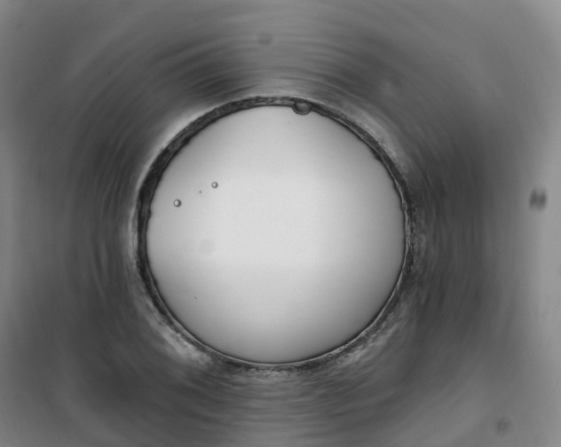 X0000101181076200807111110